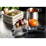 Erőteljes kézi turmixgép, karhossz 250 mm, 350 W, 230 V, Royal Catering 3