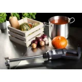 Snažan ručni blender, duljina ručke 400 mm, 500 W, 230 V, Royal Catering 6