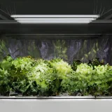 Növénynevelő lámpa, 120 LED, 50 cm, 20 W, 4 db, ezüst 6