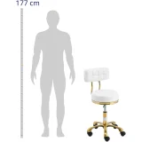 Stolica-stolica za ljepotu s naslonom i kotačima, do 150 kg, GELA bijela i zlatna 3